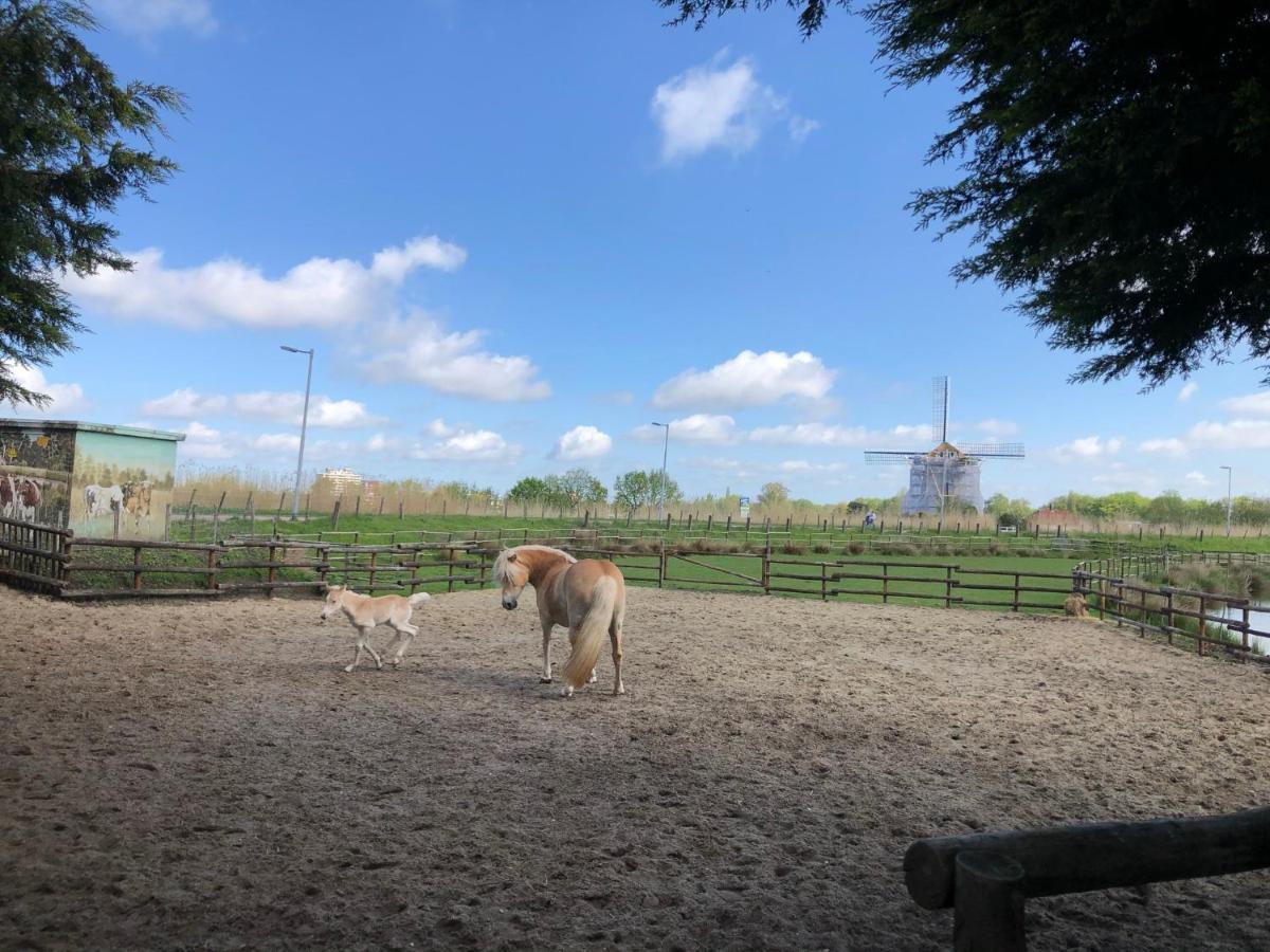 鹿特丹Chalet Aan De Rotte别墅 外观 照片