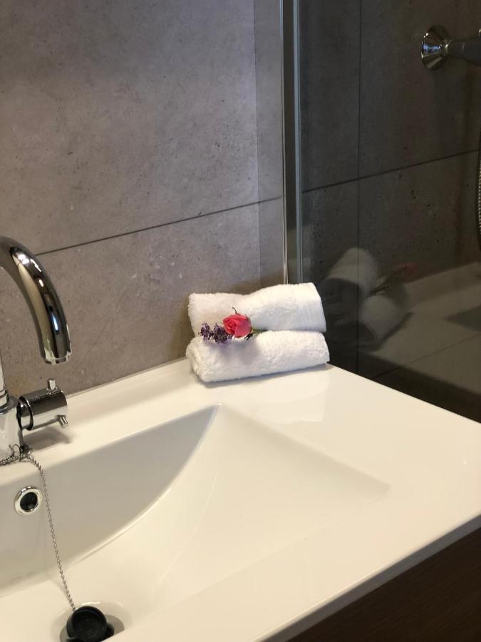 Chalet Aan De Rotte 鹿特丹 外观 照片